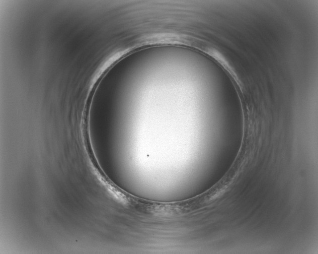 X0000081570901200701221050