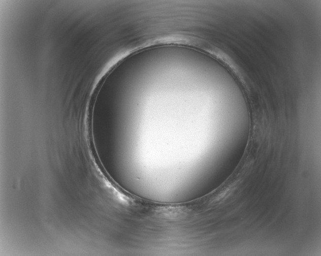 X0000081570902200701221050