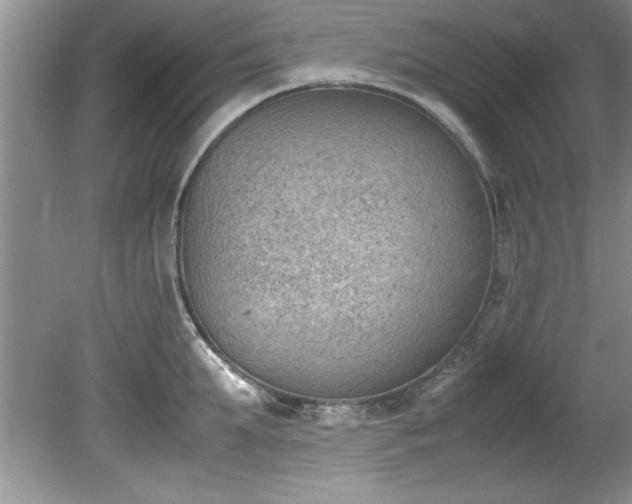 X0000081570903200701221049