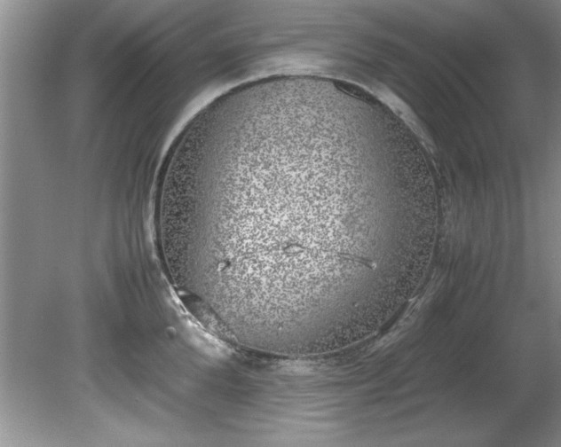 X0000081570904200701221049