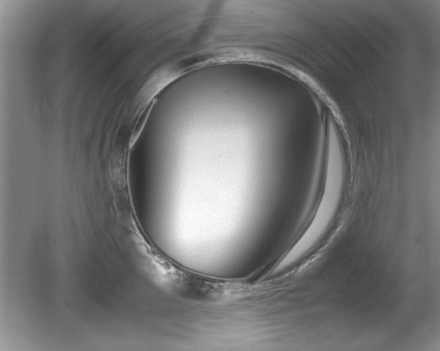 X0000081570905200701221049