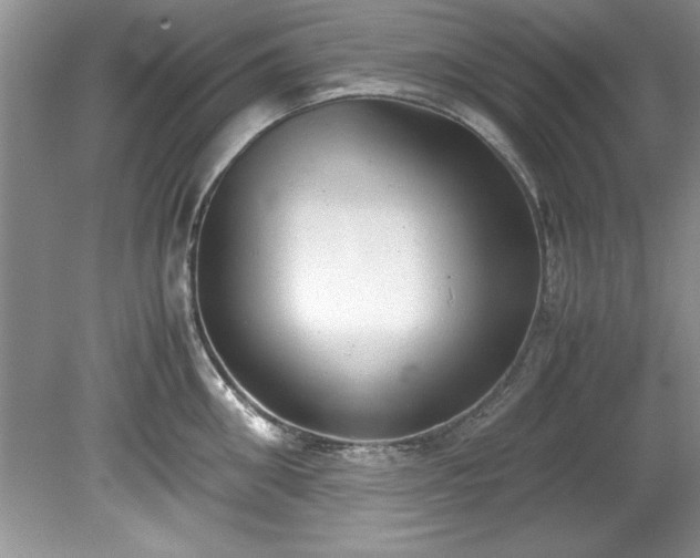 X0000081570906200701221049