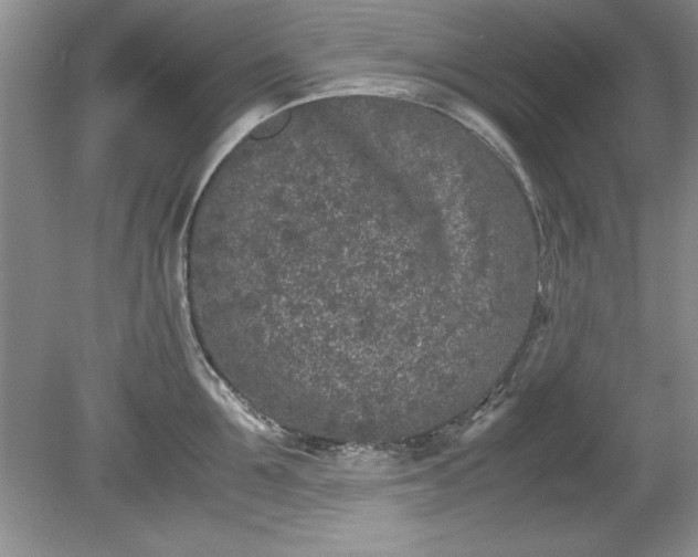 X0000081570907200701221049