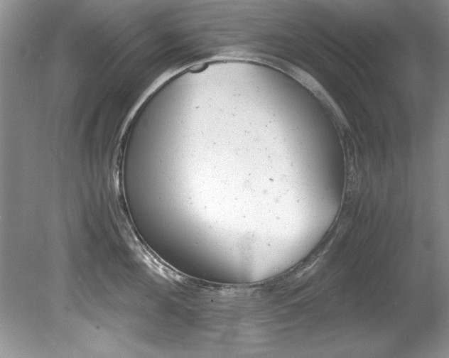 X0000081570908200701221049