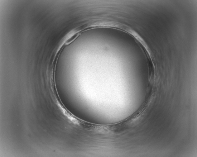 X0000081570909200701221049