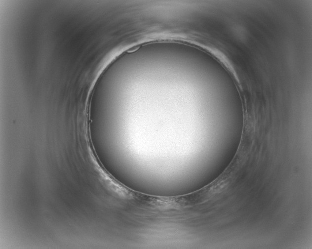 X0000081570911200701221049