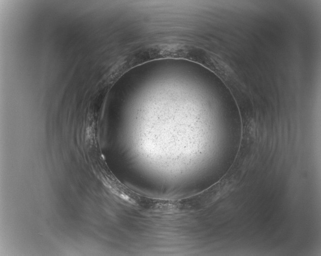 X0000081570914200701221049