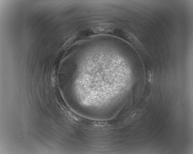 X0000081570915200701221049