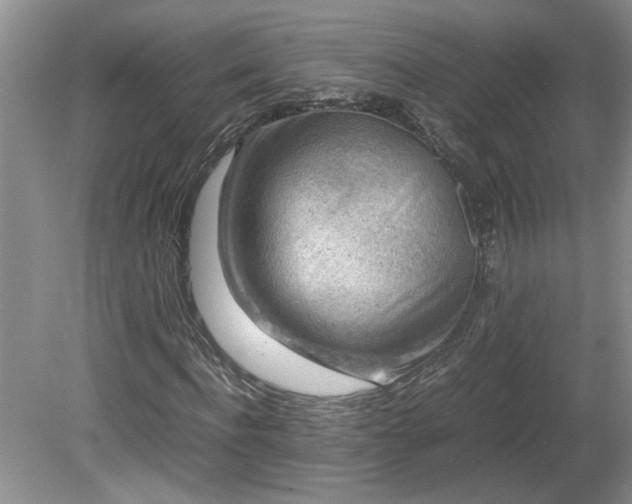 X0000081570916200701221049