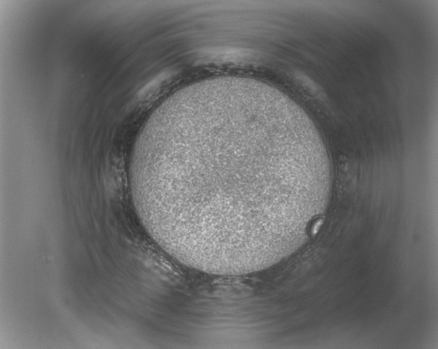 X0000081570918200701221049