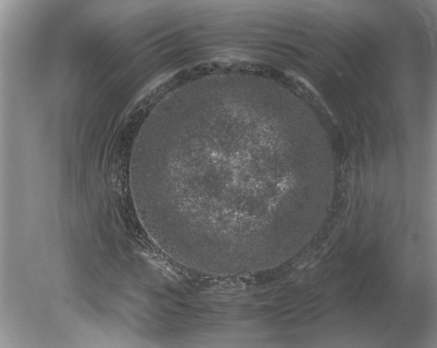 X0000081570919200701221049