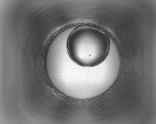 X0000081570920200701221049