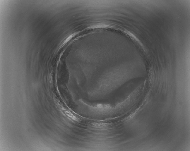 X0000081570921200701221049