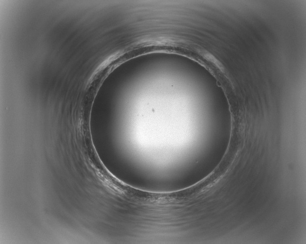 X0000081570922200701221049