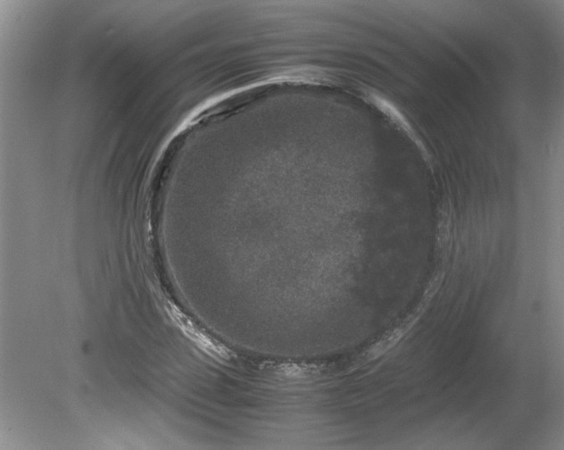 X0000081570923200701221049