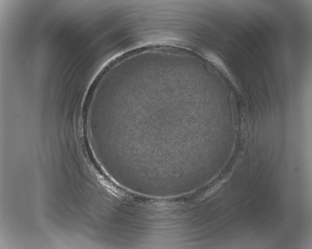 X0000081570924200701221049