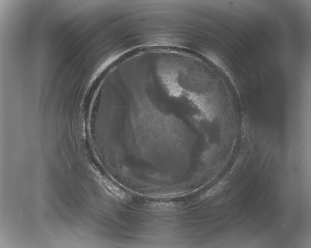 X0000081570925200701221049