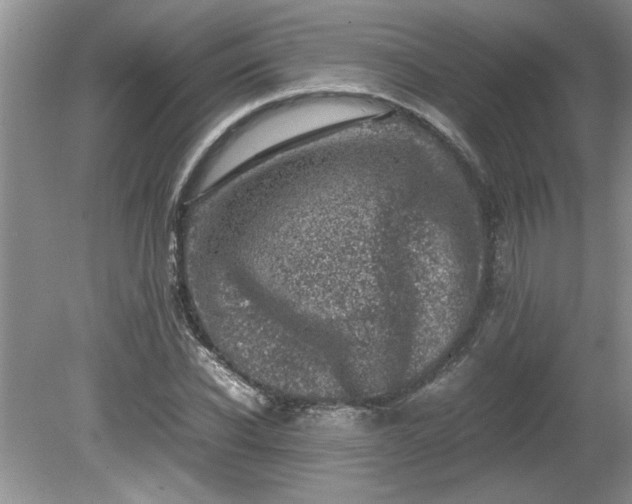 X0000081570926200701221049