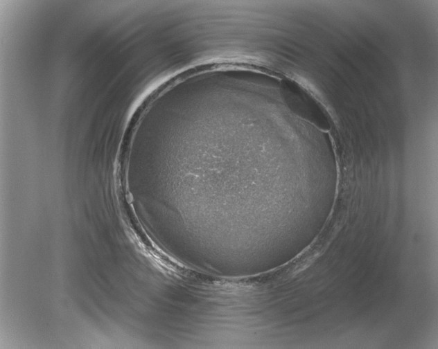 X0000081570928200701221049