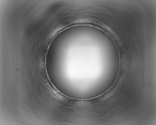 X0000081570929200701221049