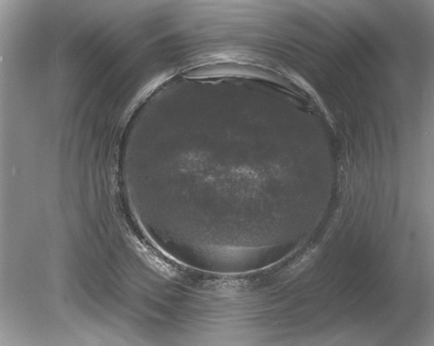 X0000081570930200701221049