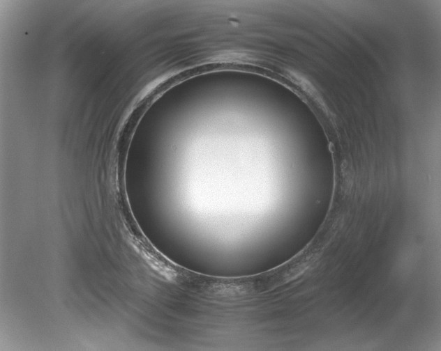 X0000081570931200701221049