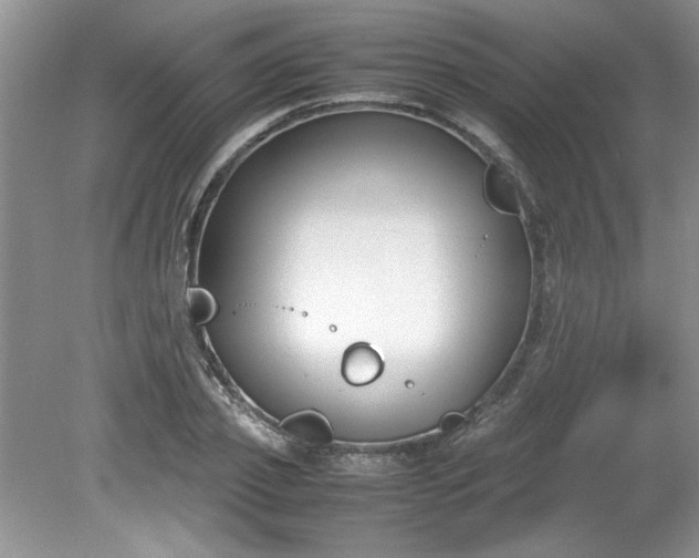 X0000081570933200701221049