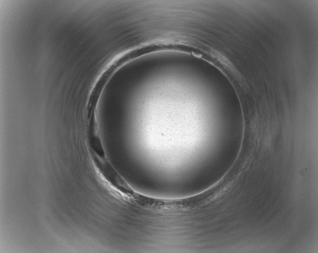 X0000081570934200701221049