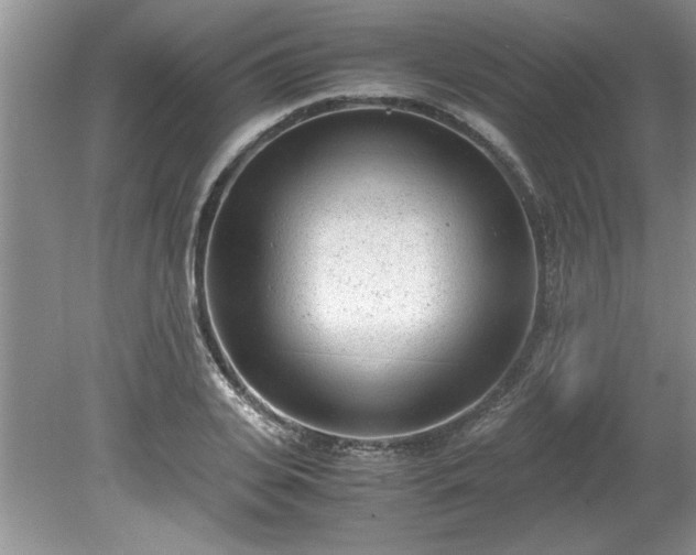 X0000081570935200701221049