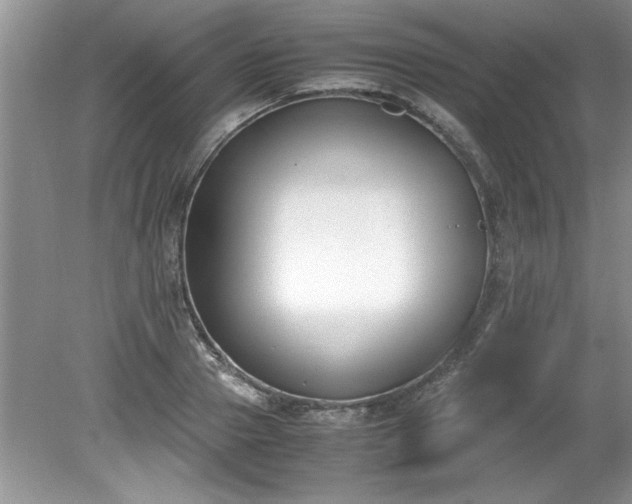 X0000081570937200701221049