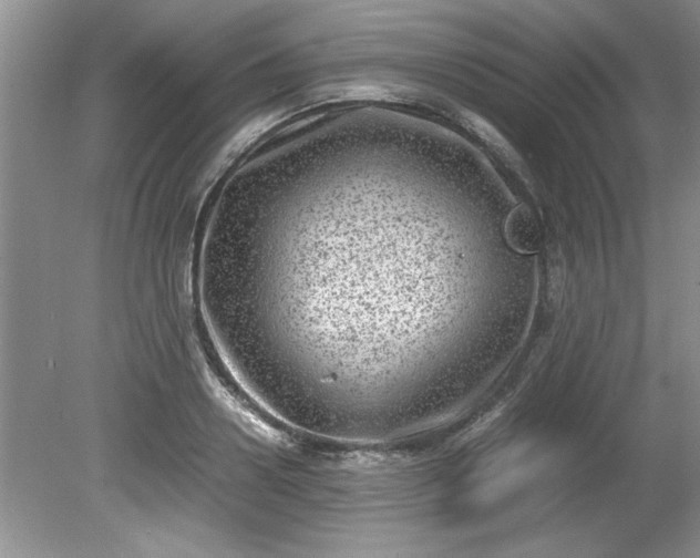 X0000081570938200701221049