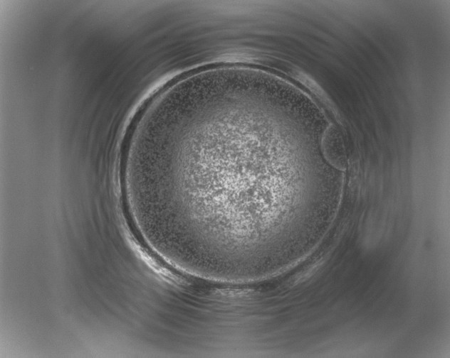 X0000081570939200701221049