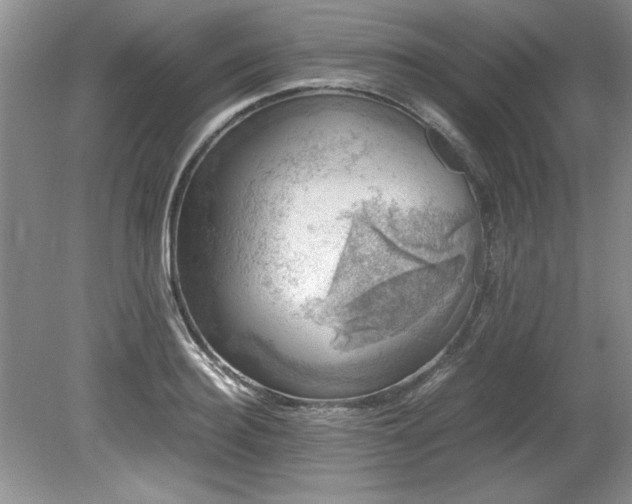 X0000081570940200701221049