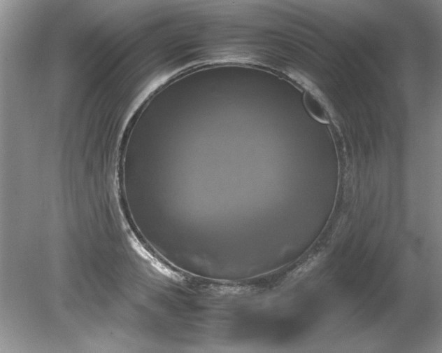 X0000081570941200701221049