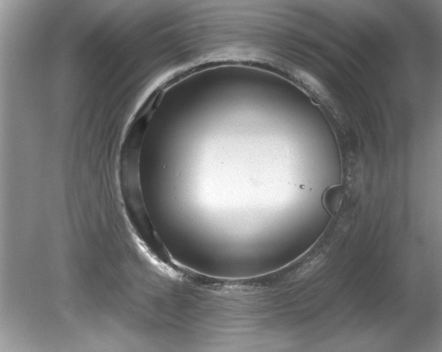 X0000081570942200701221049