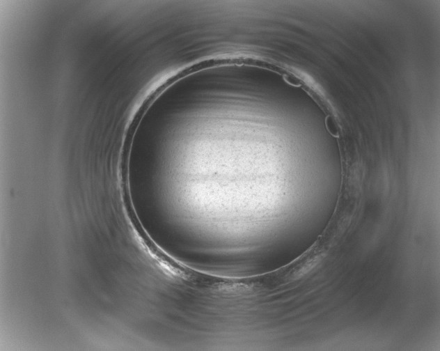 X0000081570943200701221049