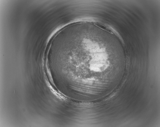 X0000081570944200701221049