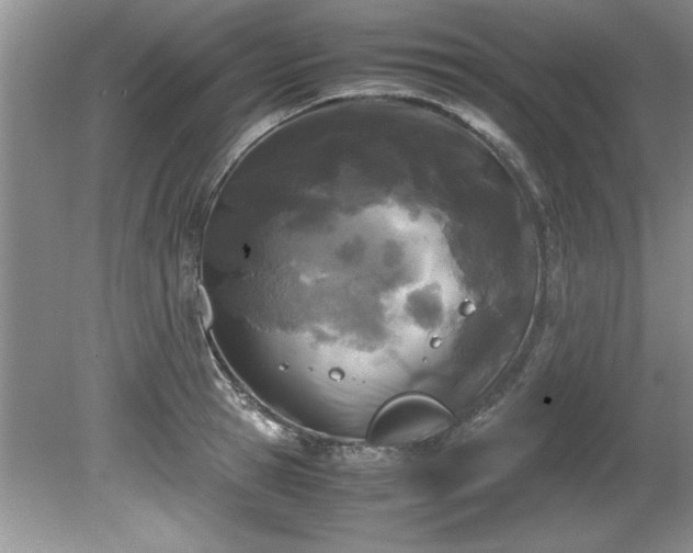 X0000081570945200701221049