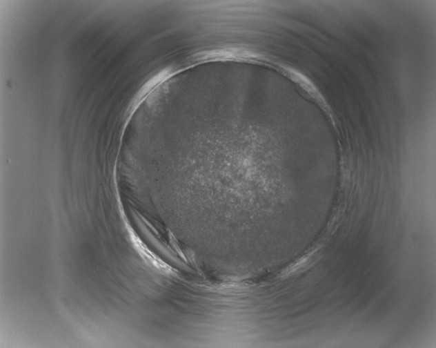 X0000081570946200701221049