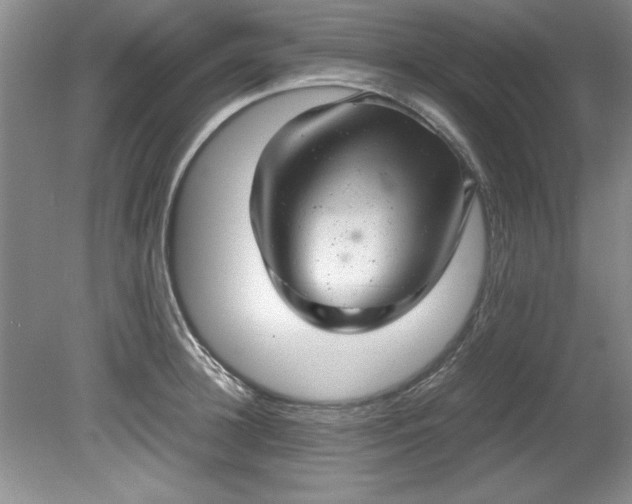 X0000081570948200701221049