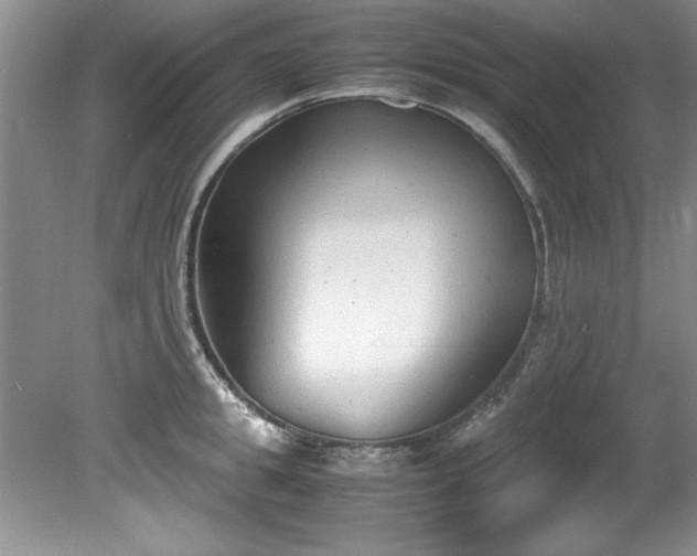 X0000081570949200701221049