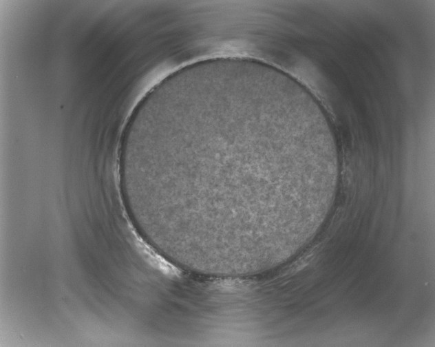 X0000081570950200701221049