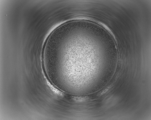 X0000081570951200701221049