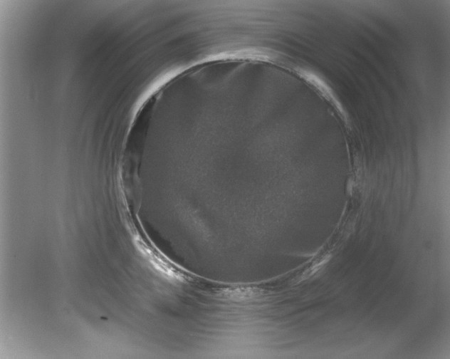 X0000081570952200701221049