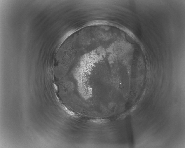 X0000081570953200701221049