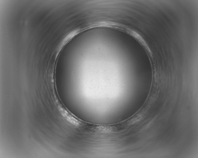 X0000081570954200701221049