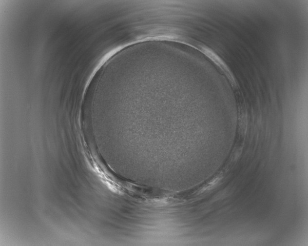 X0000081570956200701221049