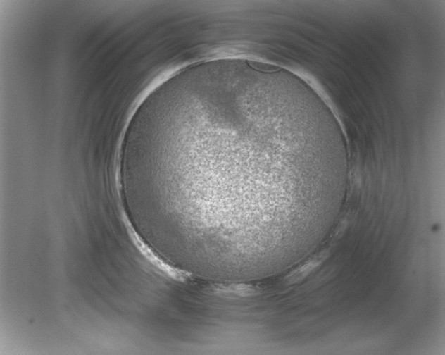 X0000081570957200701221049