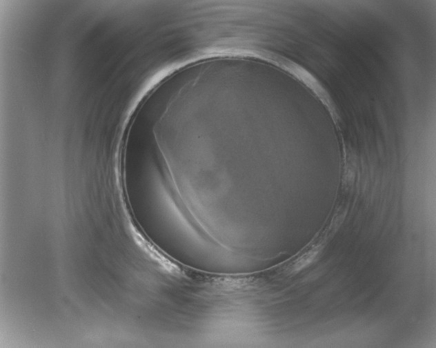 X0000081570958200701221049