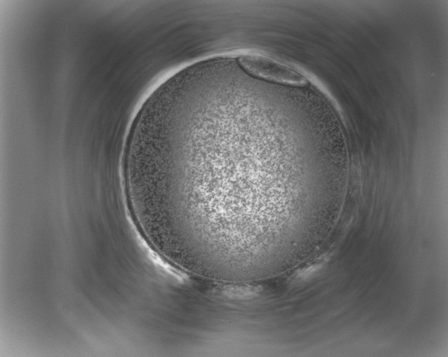 X0000081570959200701221049